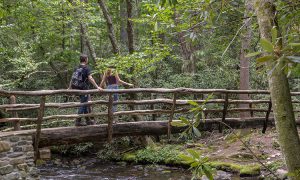 20+ best things to do in Waynesville, North Carolina - Allen Tate Blog