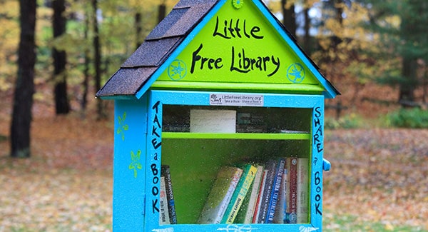 little free libraries for sale